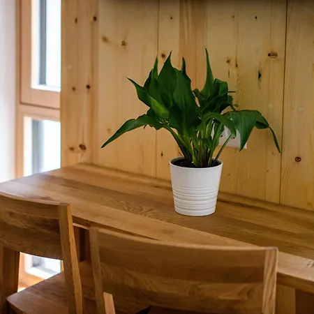 Ferienwohnung Lucka Bled Quiet Location, Free Bikes, Big Garden, Doctor Exterior foto